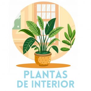 plantas de interior